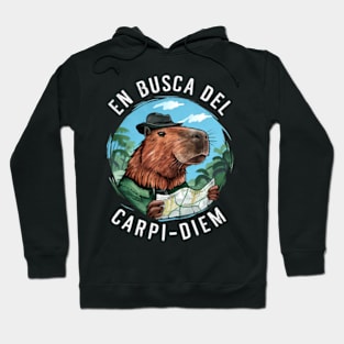 En busca del Carpi-diem Hoodie